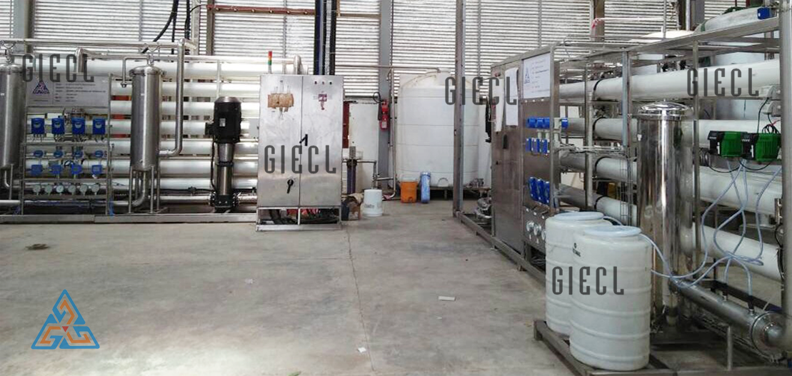 Brackish Water Plant