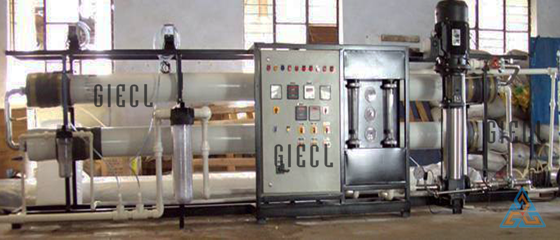 Brackish Water Plant