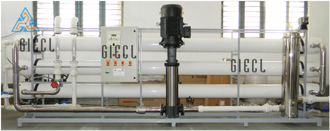 Brackish Water Plant