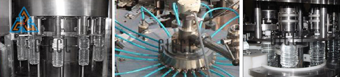 Rinsing Filling Capping Machine