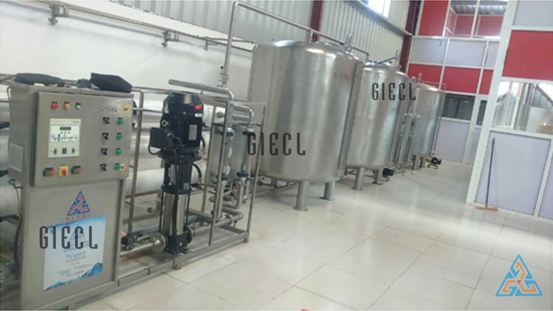 Minetal Water Bottle Plant